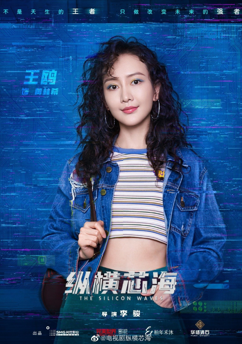 国产剧《纵横芯海》黄晓明王鸥主演